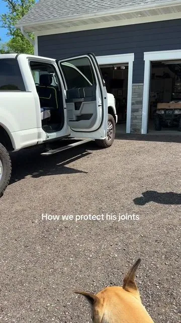 Big dog owners know the pause before opening the truck door. You don’t want them jumping down hard on their joints, but lifting 100+ pound dog isn’t exactly realistic either. These lightweight portable stairs have been way easier for us than a bulky ramp, and Riggs uses them confidently getting in/out of the truck. @Valuxe.us #dogtravelstairs #dogstairs #dogramp #bigdogbreed 