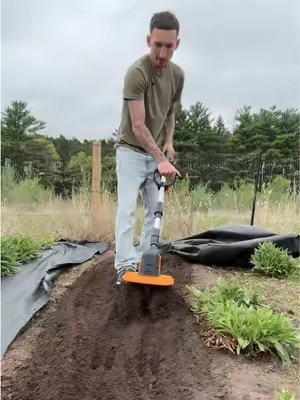 I could have seriously used this so many years ago #gardening #landscaping #flowerbed #garden #yardwork 