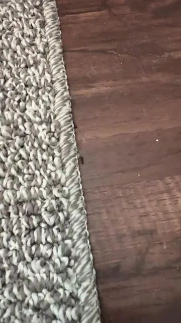 Sorry if you like ants…. Don’t spray these fuckass ants, let them take the poison back to their fuckass family with these ant bait traps.#tiktokshop #bugcontrol #ants #fuckassants