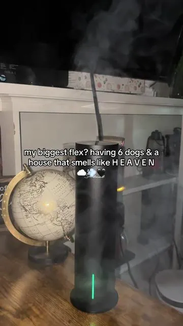 O B S E S S E D 💖 #scentiment #homediffuser #oildiffuser #tiktokshopcreatorpicks #scentimentdiffuser 