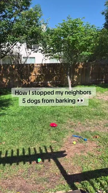 One click from this Anti Barking Device and I stopped my neighbors 5 dogs from barking 👀 #dogbarking #dogtraining #antibarkingdevice #dogmom #barkingdog 