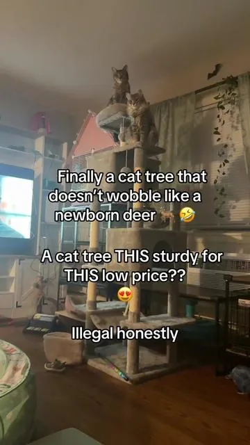 #cattree #cattok #cattower #tiktokmademebuyit 