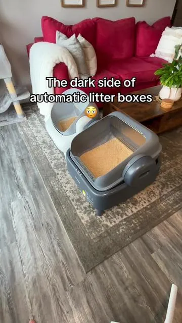 This automatic litter box comparison surprised me 👀If you’re shopping for a self-cleaning litter box, don’t just compare price. Compare cleaning, safety, and size.Many automatic litter boxes use enclosed globe designs that can be difficult to clean when accidents happen. I prefer the Oneisall because the stainless steel litter basin removes easily for cleaning and gives cats much more room inside.The safety features were also a big factor for me. The Oneisall uses radar and motion detection to stop operation when movement is detected near the litter box, which gives me extra peace of mind.If you have large cats, multiple cats, or you’re looking for an automatic litter box that’s easier to maintain, this is definitely one worth considering. #tiktokshopcreatorpicks #tiktokshopmemorialday #dealsforyoudays #tiktokshopdealsforyoudays #summervibes 
#summerwins  
#summeressentials
