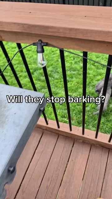 Got some nuisance dogs? #dogbarking #pet #pets #ultrasonic #Summervibes 