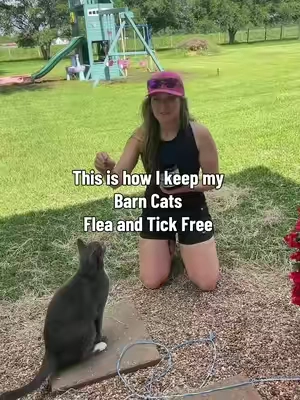 Flea and Tick Prevention for Cats #fleaandtickprevention #cats #carproducts #fleas #barncats @Woyamay Pets Co. 