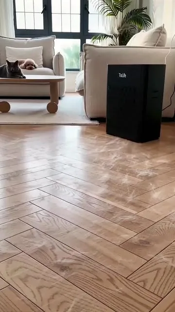 HEPA filter captures 99.97% of airborne allergens. Say goodbye to sneezes, say hello to freedom.#petairpurifier #cathealth #petlovers #pethaireverywhere #airpurifier 
