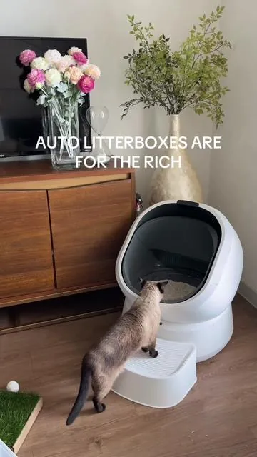 I didn’t get the hype til I actually used it for a week, the health monitor alone makes it so convenient. @Petlibro #litterbox #automaticlitterbox #Summervibes #catsoftiktok #litterboxhack 