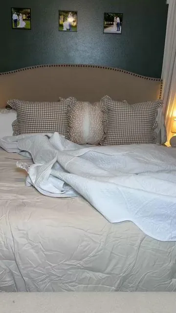 Pet friendly bedding?!! Please + thank you! #petfriendlyhome #petfriendly #petfriendlybedding #lightweightbedding 