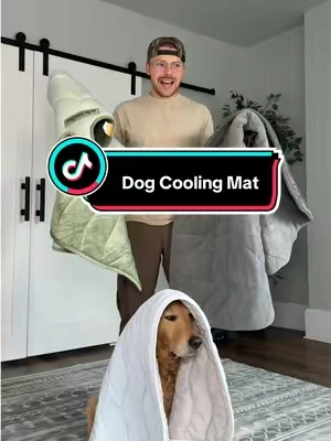 these dog cooling mats are total game changers!!  #dogcoolingmat #dogcoolingbed #petlovers #summervibes #dogparents 