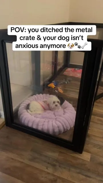 Why are people still using metal crates? Coco doesn’t even try to break out of this. She’s less anxious and feels safe. 10/10 recommend.  #fxw #fxwdogplaypen #Summervibes #fyp 