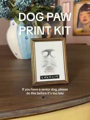 My most prized possessions #seniordog #seniordogsoftiktok #dogmom #dogsoftiktok #tiktokshopcreatorpicks 