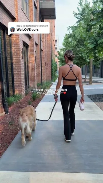 Replying to @desforless second clip got me crying in the club 🥹 weve come so far!! happy to hear your pups did too!! ♥️🐾#nopullharness #goldenretriever #wearedogfriendly #dealsforyoudays #summervibes 