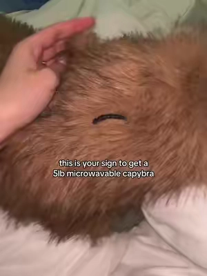 its the best comforter 🩷 #tiktokshopsale #tiktokshop #capybara #capybaraplush #dealsforyoudays 