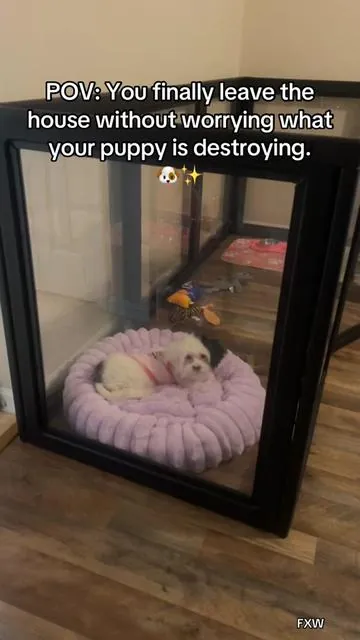 Stop using those awful metal cages. The door is wide open and she’s not even trying to escape.  #fxw #fxwdogpen #fyp #foryoupage 