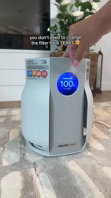 We needed something we could just forget about 🤭 #airpurifier #allergies #tiktokshopsummerturnup #tiktokshopdealsforyou #tiktokshopcreatorpicks 