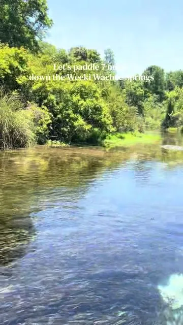 Come with for another 7 mile float! ☀️ This time I tried to answer a lot of of your questions in the video! #floridasprings #paddleboarding #weekiwachee #travelflorida 