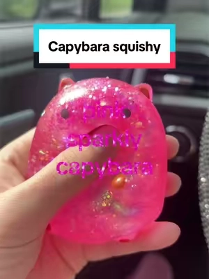 so pretty #capybarasquishy #squishy #capybara #pink #glitter 