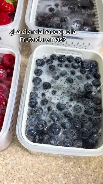 🍓No me di cuenta cuánto me ayudaban estos contenedores hasta que empecé a usarlos en el refri  La fruta y los vegetales se ven más organizados, más fáciles de encontrar y me encanta que no quedan pegados al agua 👀💛 Yo solo los lavo, los guardo aquí y listo 🙌🍓 De esas cositas simples que sí ayudan muchísimo en la cocina 🏡✨ ✨ fruit and vegetable organizer ✨ produce containers for fridge ✨ refrigerator organizer ✨ berry storage container ✨ fruit storage containers ✨ vegetable organizer ✨ fridge organization ✨ kitchen organization ✨ produce keeper ✨ fresh fruit storage ✨ contenedores para fruta ✨ organización del refri ✨ organización de cocina ✨ cocina fácil para mamás ✨ kitchen must haves #tiktokshopcreatorpicks #producecontainers #fridgeorganization #kitchenorganization #momhacks