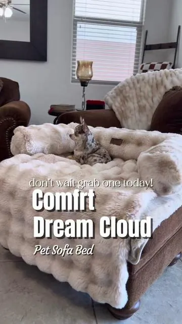 Bought the @Comfrt DreamCloud Pet Sofa Bed for my dog… now she refuses to nap or dig anywhere else. 😂🐾 #petbed #dogbed #comfrt 