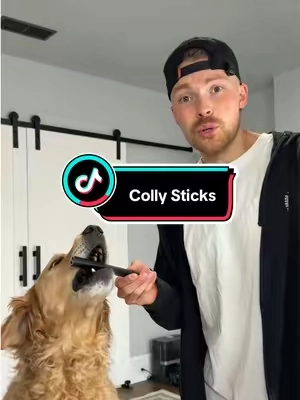 your dog is gonna go bananas for these colly sticks  #naturaldogtreats #dogchews #dealsforyoudays #summervibes #petlovers 