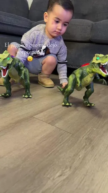 🦖 Dinosaurio control remoto con luces LED, sonido realista y efecto de vapor. El regalo perfecto para niños que aman los dinosaurios. ¡Horas de diversión garantizadas! ✨🎁 #DinosaurioRC #JuguetesParaNiños #dealsforyoudays #summerwins #toys 