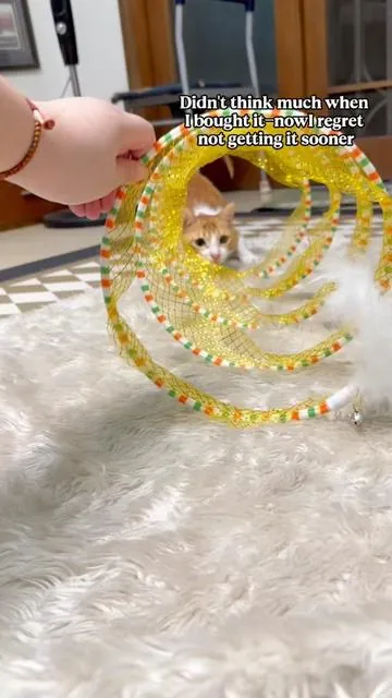 #cattoys#catplaying#tiktokmademebuyit#catlover #DealsForYouDays 
