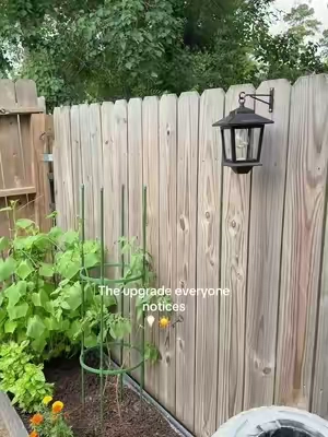 If your garden disappears as soon as the sun goes down, you need these 🌿✨ Solar-powered, weather-resistant, and automatic lighting that makes your backyard look beautiful while helping keep your family safe at night. #DealsForYouDays #TikTokMadeMeBuyIt #GardenDecor #SolarLights #BackyardGoals 
