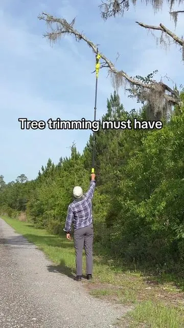 Tree trimming is actually fun for me now. #polesaw #chainsaw #seese 