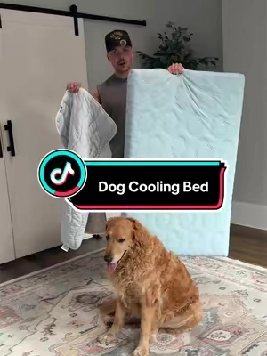 a no brainer item to have for your dog in the summer!  #dogbed #dogcoolingmat #dealsforyoudays #petlovers #summervibes 