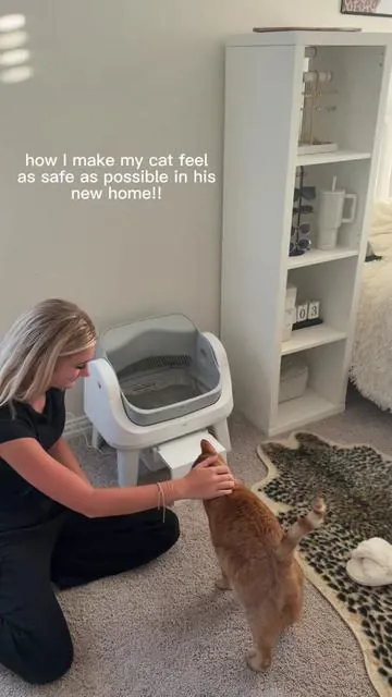 The most amazing litter box!! #PetPivot #AutoScooper #tiktokshopmemorialday 