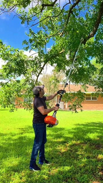 #podadora #jardineria #paratii #garden #yardwork 