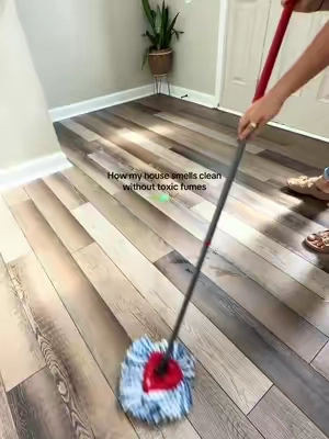 I switched to these cleaners 6 months ago and I’ll literally never use anything else 👌 #cleanwithme  #cleaningtok  #nontoxicliving  #dealsforyoudays  #summerwins 