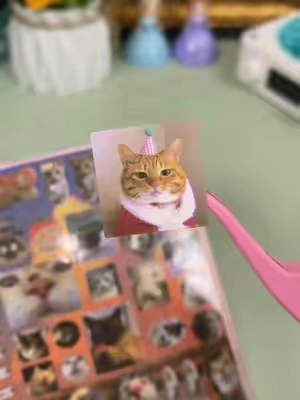 ahhh I love cats meme I want to stick these on everything 🙈 they also have a dog ver as well!  #stickerbook #stickers #journaling #scrapbookingideas #stationery 