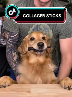 Replying to @jenmontzingo Collagen sticks are SO much better than plastic! #mightypaw #collagensticks #dogs #dealsforyoudays #tiktokshopcreatorpicks 