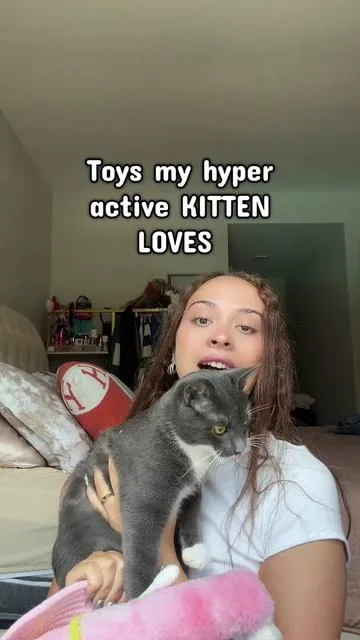 The toys that keep my kitty entertained #cattoys #hypercat #greykitten #catmomlife #catguide 