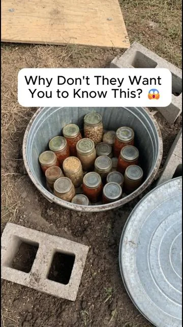 What if the most valuable skills were the ones nobody teaches anymore? The Lost Skills of Independence brings together 200 practical skills covering food, water, remedies, gardening, survival, and self-sufficiency. Tap the orange cart and get your copy before this offer ends. #SelfSufficiency #SurvivalSkills #Preparedness