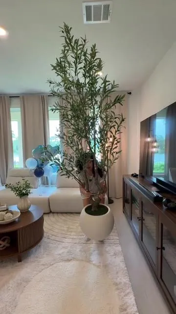 Estoy obsesionada con este olivo . Luce tan bello y hasta parece real , me encanta que la maceta es un estilo elegante y ya no necesitas comprarle nada ya viene listo para decorar tu hogar  #olivetree #artificialolivetree #homedecor #DealsForYouDays #SummerWins 