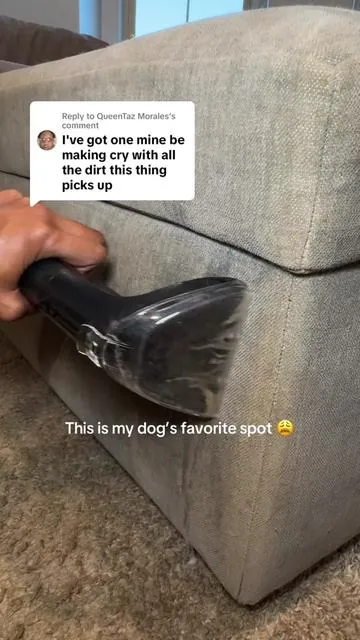 Replying to @QueenTaz Morales my dog leans on this after coming from outside. This little Green Machine will humble you 😩😭 @BISSELL Clean 🧼 