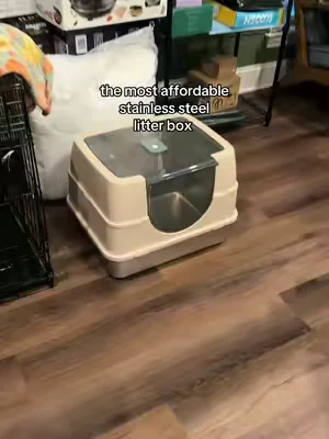 #cats #catsoftiktok #catlovers #stainlesssteellitterbox 