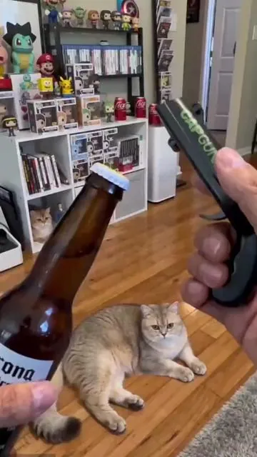 U know what I mean….#opener #bottleopener #toygun #giftguide #beer 