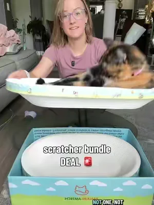 Such a great deal if you get the bundle! #summerwins #dealsforyoudays #SummerVibes #petlovers #catscratcher 