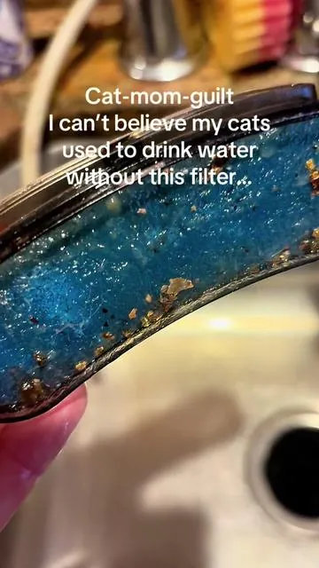 I was NOT prepared to see everything this filter caught. 🤢 If your cat uses a regular bowl, replacing a circulating fountain is one of those little things that makes a big difference. Flash sale is live and I spotted coupons too. #DealsForYouDays #CatMom #PetMustHaves #caturinaryhealth #CatTok