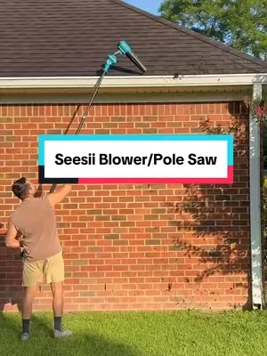 This is going to be one of my favorite yard tools. #blower #polesaw #chainsaw #seesii 