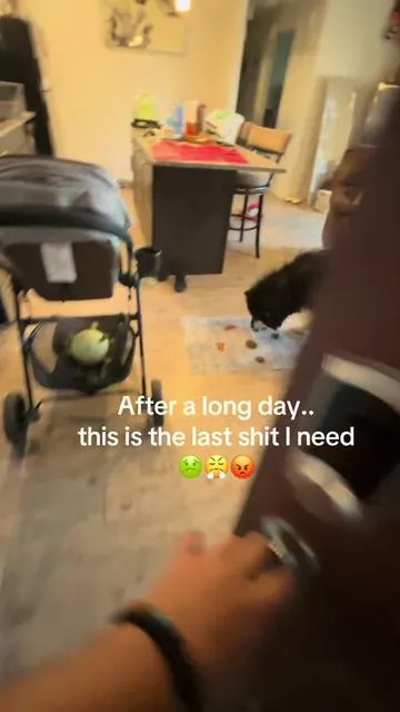 Little green machine #dealsforyoudays #cutedogsoftiktok #musthave #homehacks 