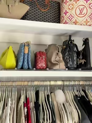 the fix to bags taking over the closet 😭👜 #tiktokshop #organization #closetorganization #homefinds #purseorganization 
