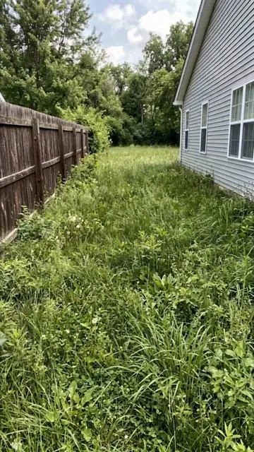My neighbors hired a landscaper. I bought this mower. We got the same result.#mowing #LawnMower#DealsForYouDays #TikTokShopDealsforYouDays #summerwins 