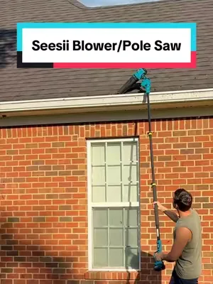 This is quickly becoming my favorite yard tool. #blower #polesaw #chainsaw #seesii 