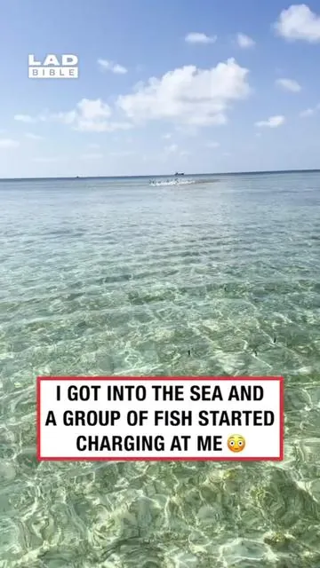 Aquaman has a message 😂
