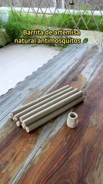 El último truco para acampar 🏕️: un palo = cero mosquitos #nomoremosquitoes #Mugwort #SummerVibes #dealsforyoudays #tiktokshopcreatorpicks 