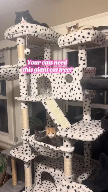 Great deal on a giant cat tree! #cats #cattree #cattoy #catscratcher #catenrichment 